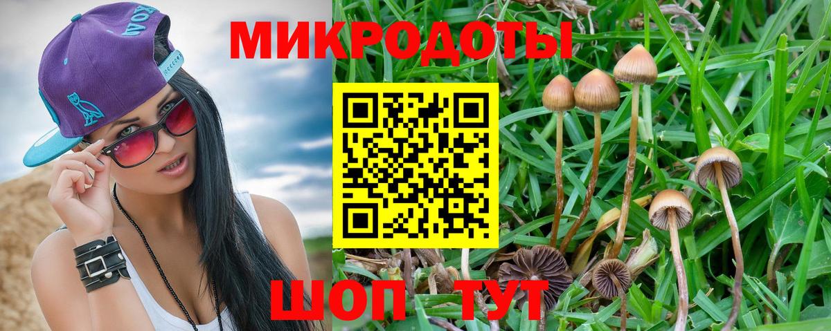 Галлюциногенные грибы GOLDEN TEACHER  Вход с VPN  Нальчик 